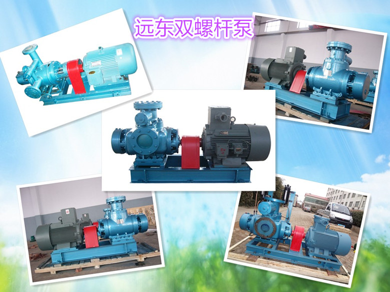 遠東雙螺(luo)杆泵展示(shi)