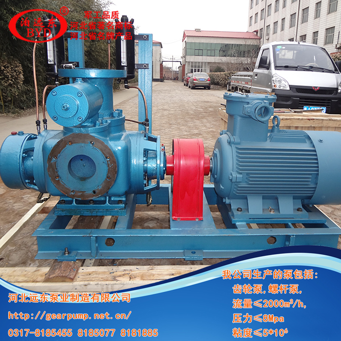 液化(hua)氣輸送(sòng)泵,雙螺(luó)杆泵