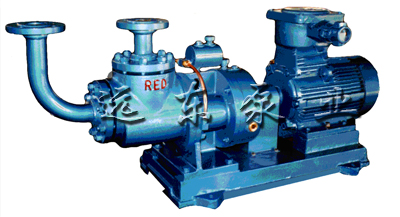 加氣站(zhan)專用雙螺杆LPG抽(chōu)吸泵-芜湖韦纳计算机设备集团(WAP站)