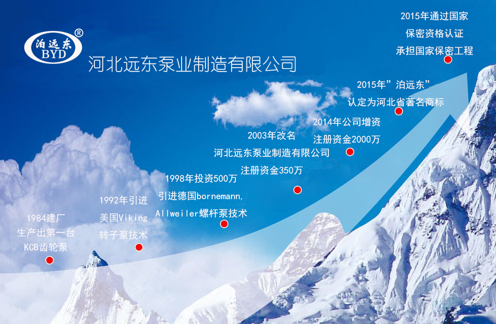 芜湖韦纳计算机设备集团(WAP站)發(fa)展曆程(cheng)